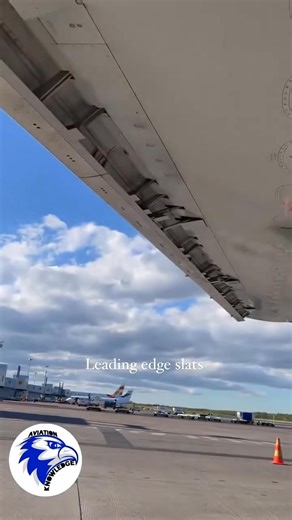 Krueger flap in action | Aviation-knowledge