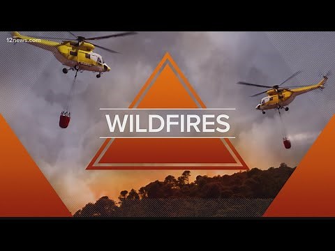 Wildfires in Arizona update for June 20