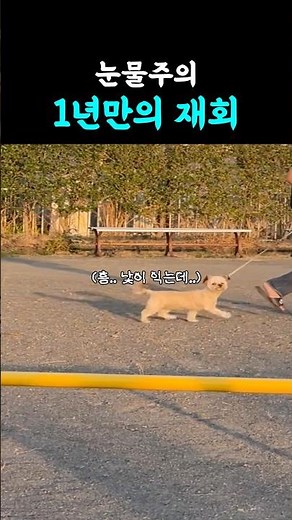 1년만에 만난 임보자를 알아볼까?