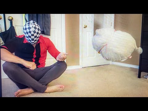 Levitate an object with Telekinesis