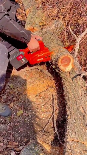 Efficient Wood Cutting with a Portable Battery Powered Mini Chainsaw