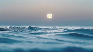 The moons reflection on the ocean creates a ghostly apparition creating an eerie and hauntingly beautiful sight