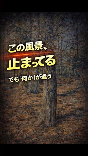 A masterpiece in 30 seconds: [Falling Leaves | Seiki Kuroda] This stillness is more than just a l...