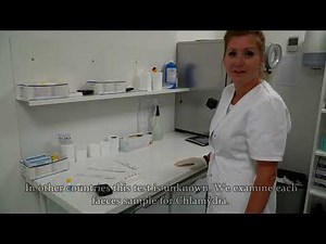 TOLLISAN - ENGLISH VERSION