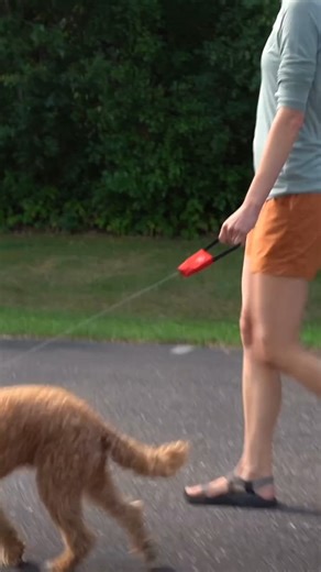 The new RadDog Retractable Pocket Leash is perfect for quick errands or those on-to-off leash transitions! 🐕 With a max length of 45” for the small or 47.7” for the large, it’s a super compact and manageable solution when you need to temporarily leash your pup and don’t want to carry a full-size leash. Get one for your dog: bit.ly/434kPPQ. #niteize #dogs #doggear #dogleash #dogleashes #dogsofinstagram | Nite Ize