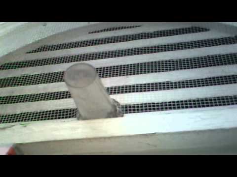 One way Bat door bat removal 304-395-1400 AVI