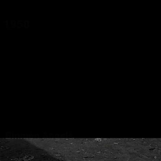 523K views · 10K reactions | Manchester's binmen vs loneliness (1958) | British Pathé | Facebook