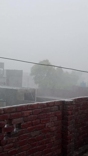 Mr Strong 💪 (@mrstrong.99)’s videos with original sound - Theworldofcombat