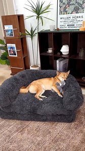 Luxury Plush Dog Bed – For Your Dog & Your Decor 🐾✨Why pet parents love it: ✅ Elegant Design – Elevates your space instantly 🏡 ✅ Plush Comfort – Memory foam support for happy naps 🐶💤 ✅ Easy-Clean Magic – Removable cover, 30-sec refresh 🧼 ✅ XXL Size – Fits Great Danes to Dachshunds 🐕 | FUNNYFUZZY
