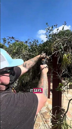 Building a pergola for the first time #diy #howto #renovation #exterior #landscaping #woodworking