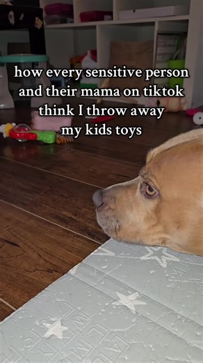 I threw 1 doll away and some of yall are traumatized ✨️ of course if its something she uses all the time I'd never just throw it away, but when you're cleaning the same mess every single day sometimes it's the small trinkets and things that can make a difference lol #cleantok #sweeptok #2026 #foryoupage #viraltiktok also if anyone likes the broom its from @Da Vinci Brooms perfect for more than just sweeping up toys