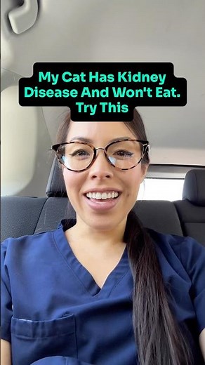 Cat With Kidney Disease Won't Eat? Try This