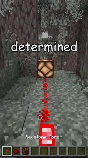 Secret base with BOOKSHELVES #minecraft #redstone