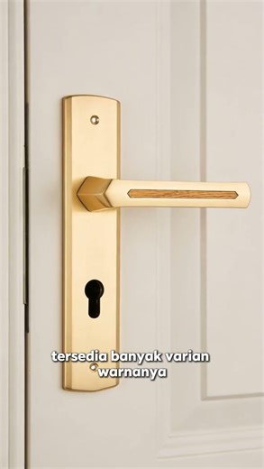 Zehn Lux 12 Door Handle: Solid, Elegant & Durable!