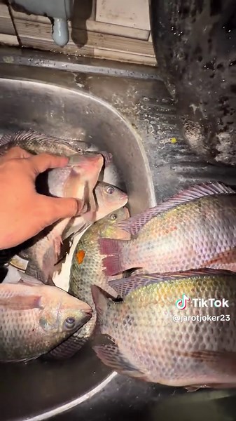 gak boncos prend wkwkw #jarodniboss #faridfake23