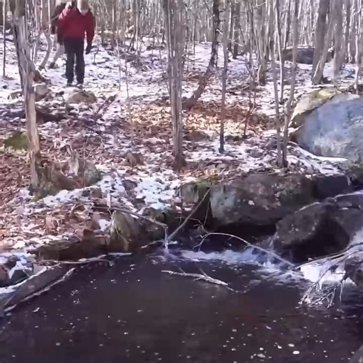 73K views · 1.4K reactions | Nook with a pull out guest bed | Dungannon Thomas Clarkes | Facebook