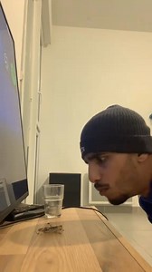 1.4K views · 12 reactions | It’s attacking me #bug #scared #funny #funnyvideo #fyp #fypシ゚viral | Awesome Animals | Facebook