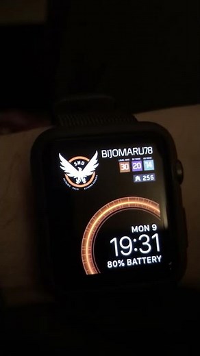 Division Apple Watch face