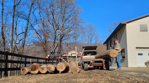 1.8K views | This man was attempting to roll a wood log pile off his truck using wooden boards as ramps. While he was on the sixth log, the boards could not withstand the pressure and snapped in the middle. | Jukin Copyright Management | Facebook