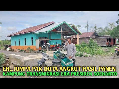 Transmigrasi era presiden soeharto dikalimantan ternyata begini sekarang kondisinya