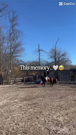 My last ride on Ladybug 😢😢