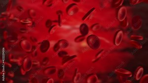 Realistic animation. red blood cells in an artery, flow inside body, medical human health-care.Red blood cells. Blood elements.3d rendering red blood cells.