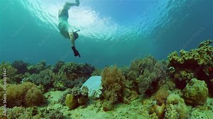 Scuba diver clean coral reef. Coral reef pollution by household garbage and plastic bag. Ecological problem, Environmental Pollution. Reef Clean-Up
