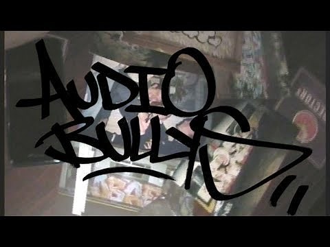AUDIO BULLYS - THE SCENE (Official video)