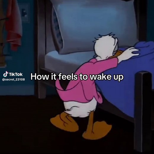 Mastering Sleep: Wake Up Refreshed