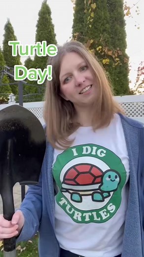 Proper Care for Eastern Box Turtles: A Turtle Expert's Advice