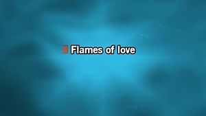 Karaoke Flames of Love - Fancy - CDG, MP4, KFN - Karaoke Version