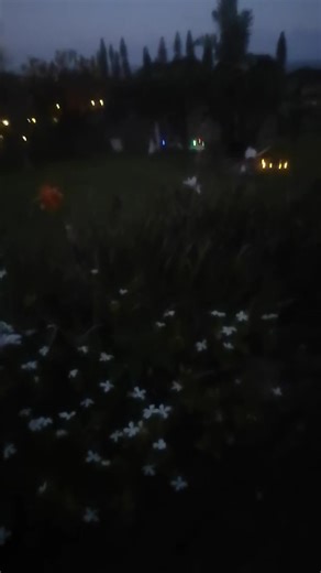 Gorgeous Moon vs Artificial Moon: A Unique Perspective