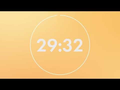 30 Minute Timer 🐱 Work Session Timer No Music