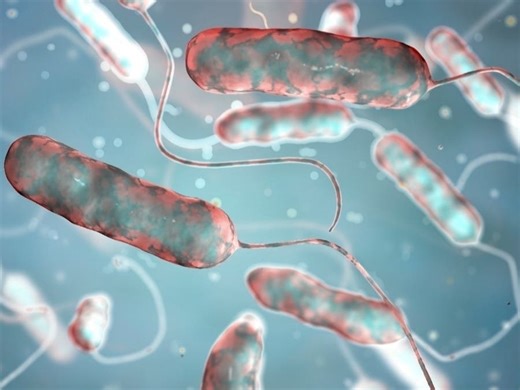 Deadly Westchester Legionnaires' Outbreaks Claimed 2 Lives, Sickened 35 Others Over The Summer