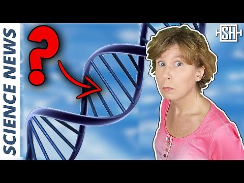 Why is life left-handed? We might finally know