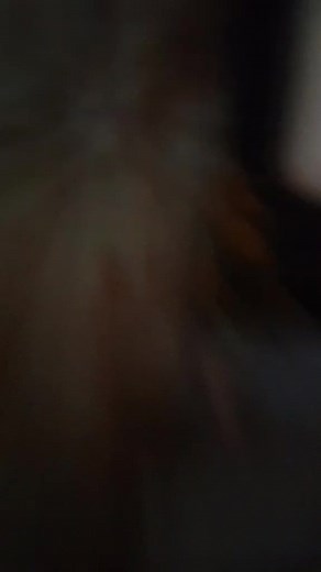 alexa anðrea (@dreq.drea)’s videos with