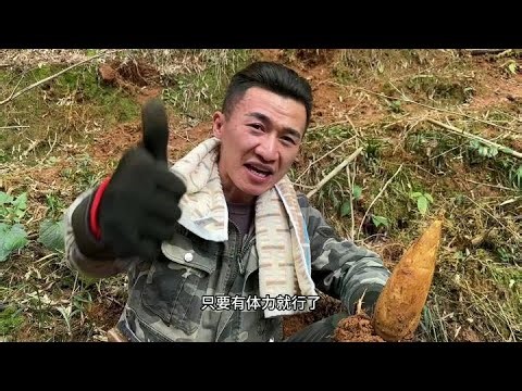 偷偷的教大家一种独门挖笋秘籍。千万别说出去哦……#挖笋的乐趣只有体验过才懂 #我的乡村生活 #挖冬笋 #新农人计划2024