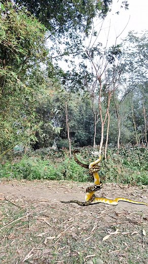 840K views · 73K reactions | Allah ❤️❤️❤️ #allah #amin #vfx #editing #instagram #facebook #highlight | Sahanur Miah | Facebook