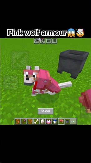 Minecraft Pink Wolf Armour Trick 😱💗 | Wolf Armour Dye #shorts