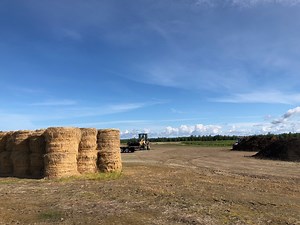 COMPOST | St. Isidore Farm - Alaska Wildflowers