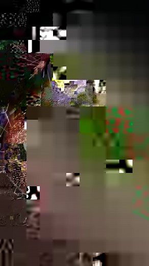 3.5K views · 11 reactions | Die GREEN SCREEN Tour 23/24 (Tickets via...