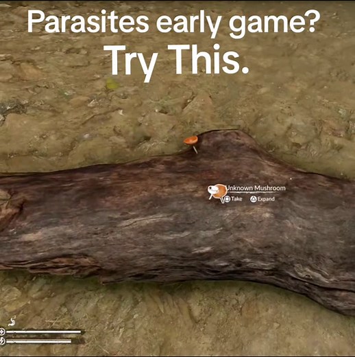Easily Fix Parasites Early Game in Green Hell