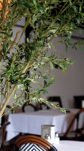 Step inside Taj Lebanese Restaurant — where tradition meets taste. From the warm, welcoming atmosphere to the rich flavors of authentic Lebanese cuisine, every detail is designed to transport you straight to Beirut. 🇱🇧 📍Come experience the culture. Come experience Taj. . . . #TajLebanese #LebaneseCuisine #AuthenticFlavors #MiddleEasternEats #FoodieFinds #TajExperience #MediterraneanVibes #NJFoodie