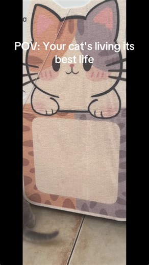 When you have a kitten#cat #cute