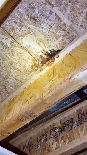 Always check the shower pan, even on a newer house | Home Inspector