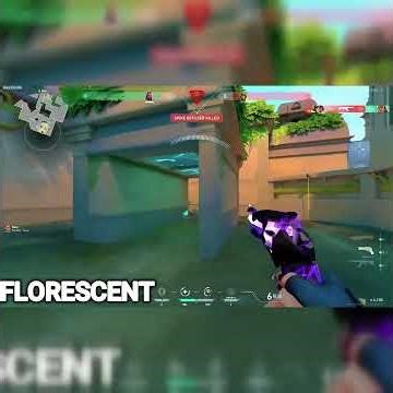 Primmie X Florescent: Best aimers in VALORANT PART 02