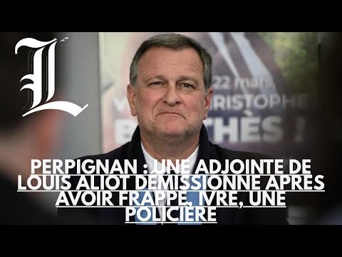 Perpignan : une adjointe de Louis Aliot démissionne après avoir frappé, ivre, une policière