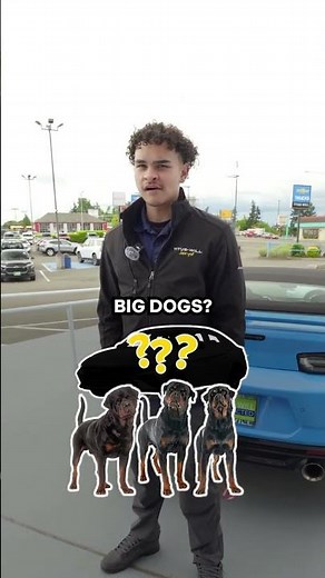 The Perfect Vehicles for Someone With 3 Big Dogs 😉