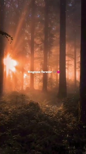 #_Best #_mobile #_ringtones BGM 🖇️💗🎧🎶🎵💗