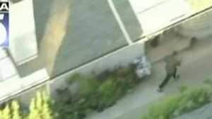 Man, distracted by texting, almost walks into bear attack (video)